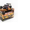 Радиоуправляемая багги HSP 4WD Brushless Buggy EidoLon-PRO 2.4G